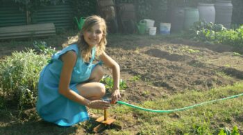 Gardening Tips