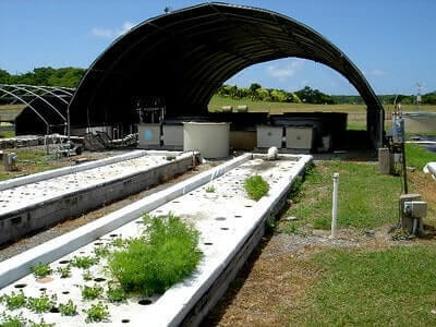 Aquaponics System Problems