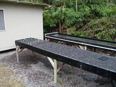 Aquaponics System Tips