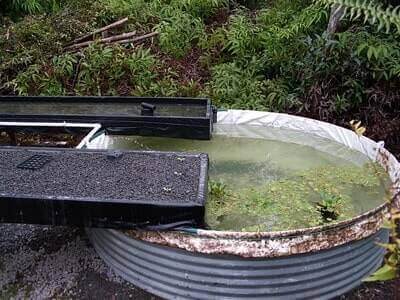 Tips of Aquaponics System